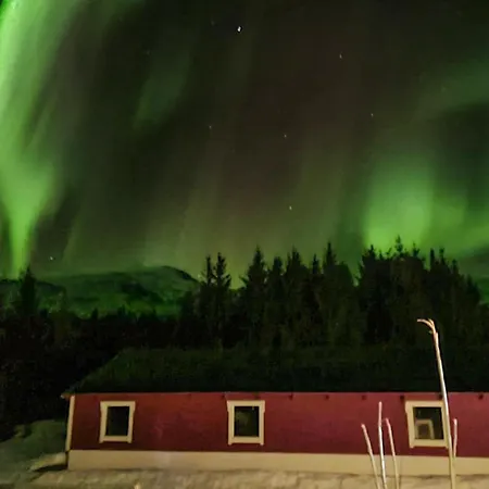 4 Bedroom Cozy In Hol I Tjeldsund *